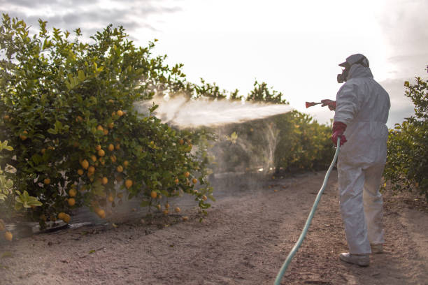Best Pest Prevention Services  in Notasulga, AL