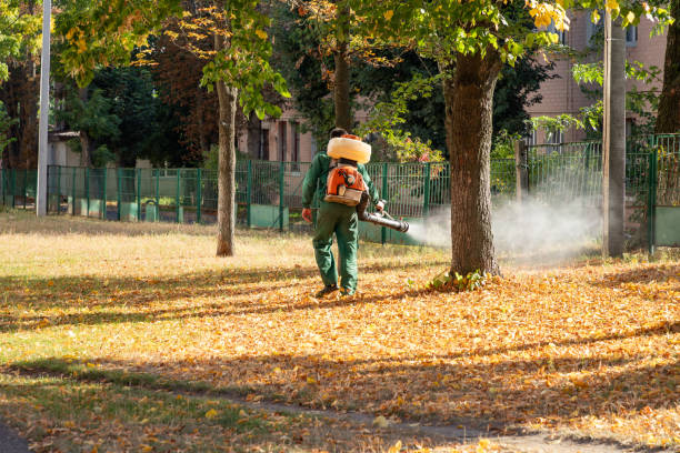 Best Wasp Removal Services  in Notasulga, AL