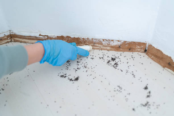 Best Insect Control  in Notasulga, AL